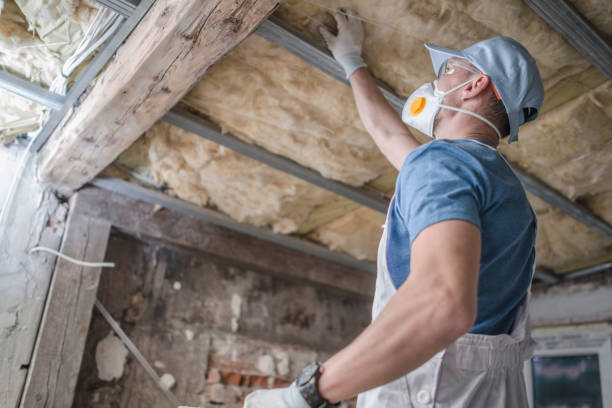 Best Spray Foam Insulation in Laporte, CO
