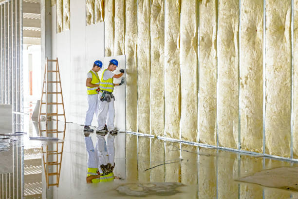 Types of Insulation We Offer in Laporte, CO